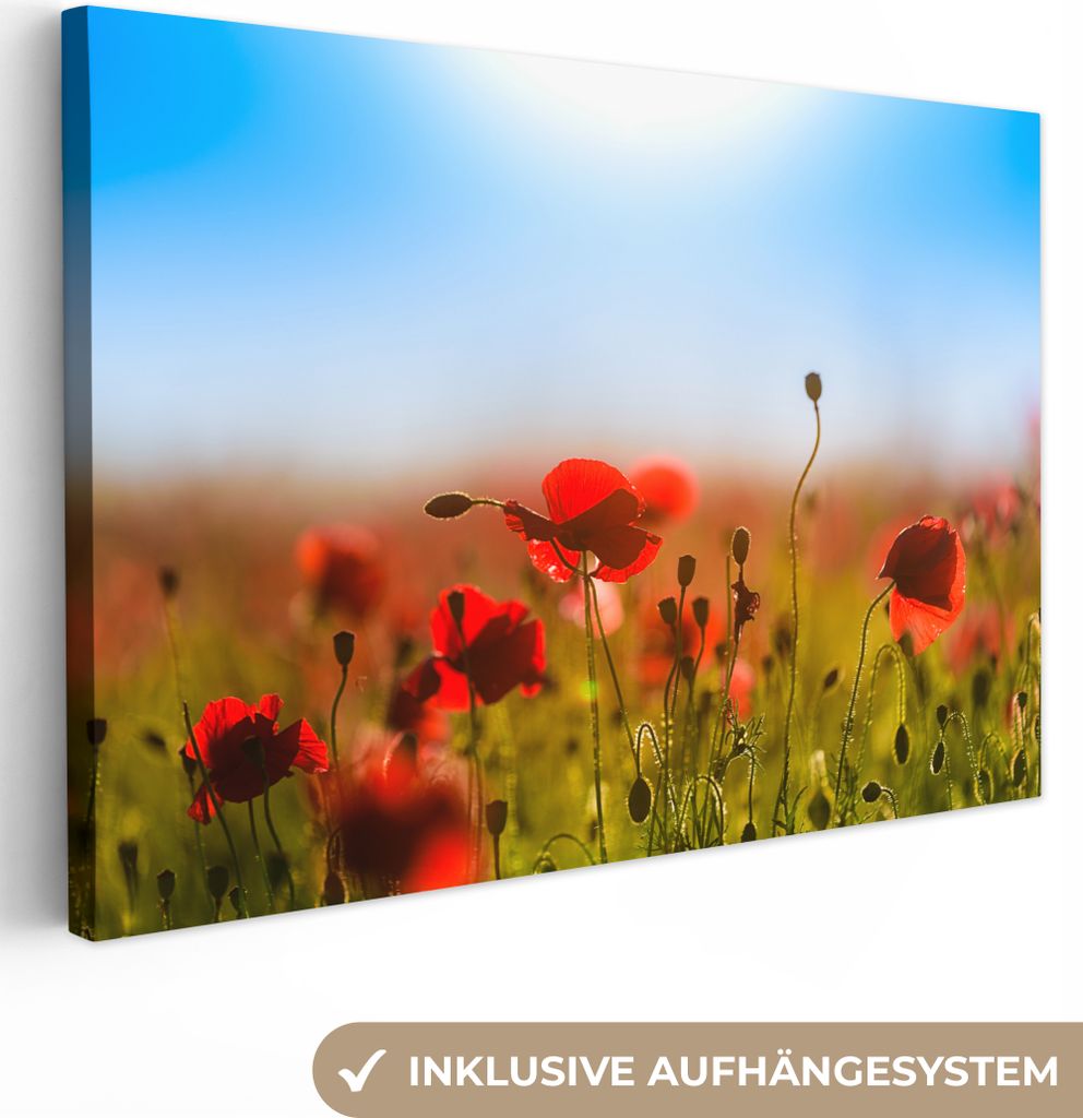 OneMillionCanvasses - Leinwandbilder - 150x100 cm, Mohnblumen unter einem klaren blauen Himmel., Wandbilder Kunstdruck Wanddekoration