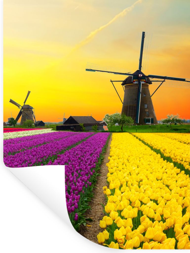 MuchoWow Wandtattoo Wandsticker Wandaufkleber Windmühle - Tulpen - Blumen - Frühling 90x120 cm Selbstklebend und Repositionierbar - Faltenfrei