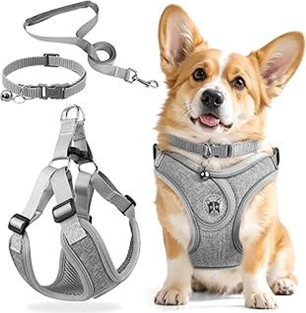 Set di 3 pettorine e guinzagli per cani, pettorina regolabile, pettorina riflettente e traspirante con anello a D, set di pettorine per cuccioli e cani di piccola taglia