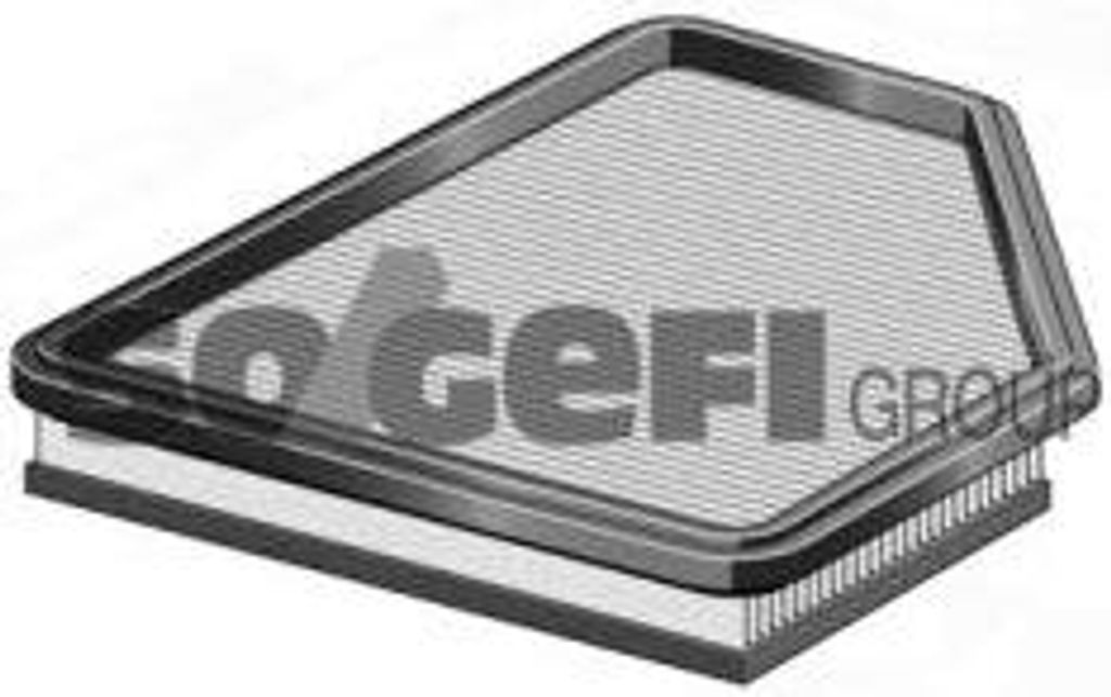 Coopersfiaam Filters Luftfilter PA7576