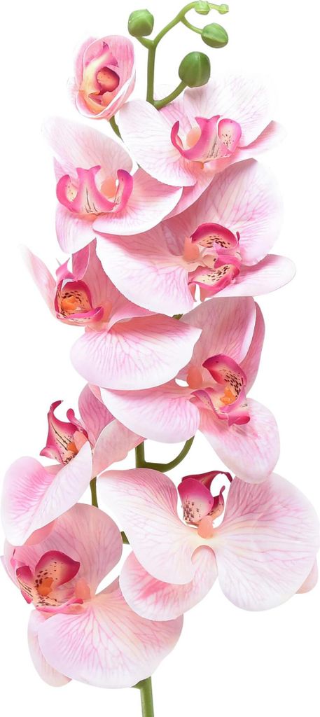 Orchidee Phalaenopsis Kunstblume Rosa Weiß 96cm 9 Blüten Deko