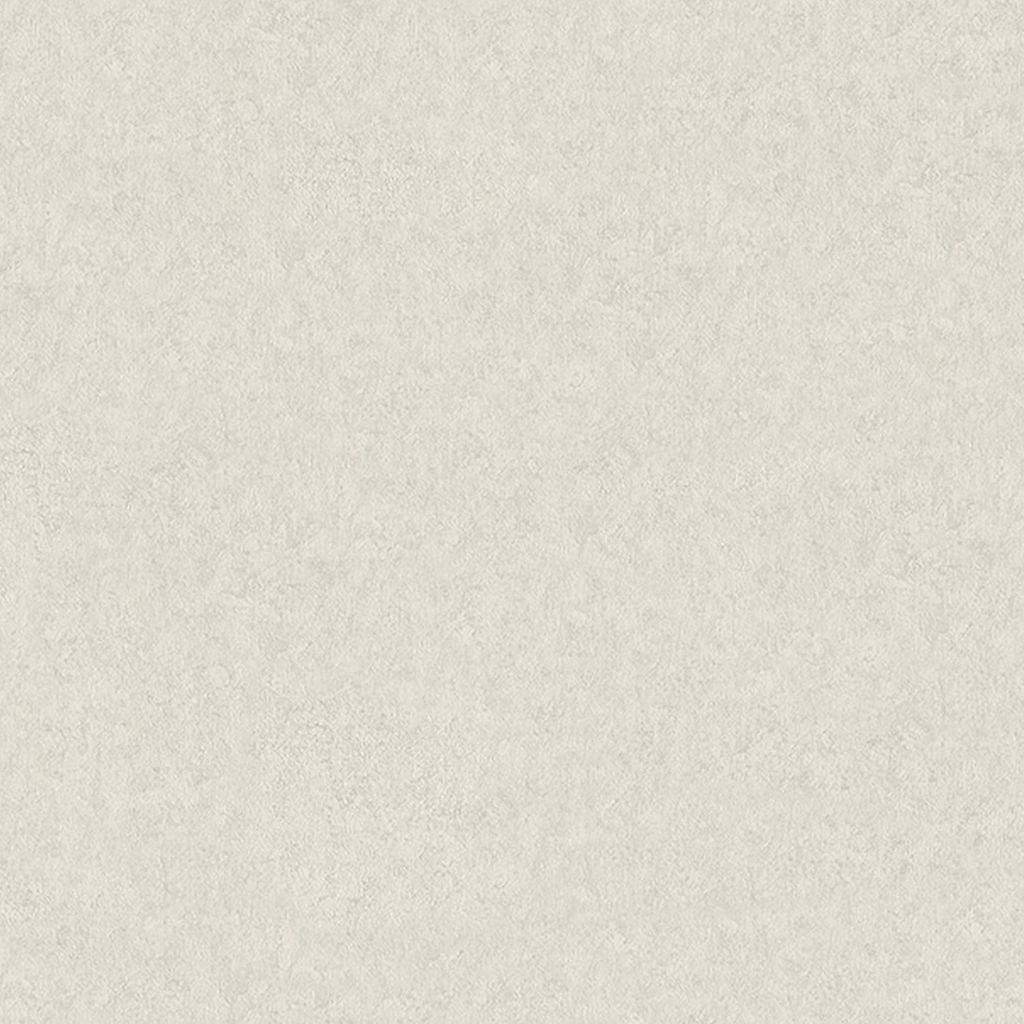 A.S. Creation AP Longlife Colours | 301403 | Vliestapete Einfarbig | 1.06 m x 21 m | Grau