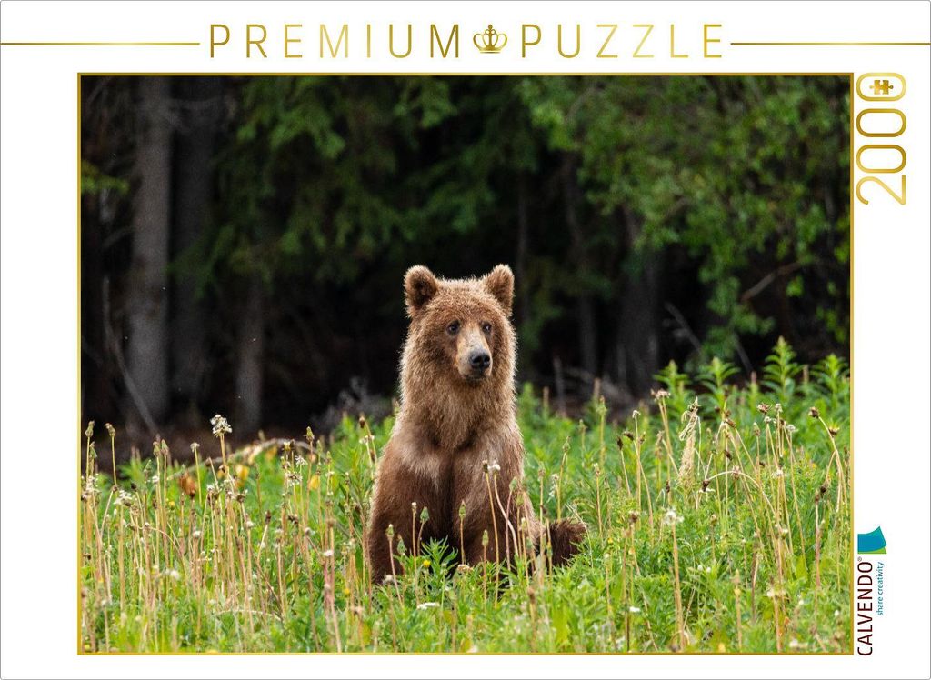 CALVENDO Puzzle Grizzlybär 2000 Teile Puzzle quer | 2000 Teile Lege-Größe 90x67cm Foto-Puzzle für glückliche Stunden