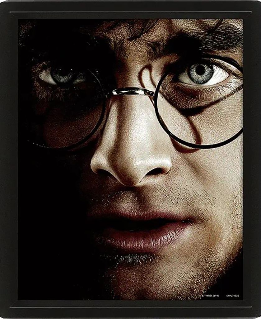 Pyramidint Poster Harry Potter/Voldemort 3D (5051265850065)