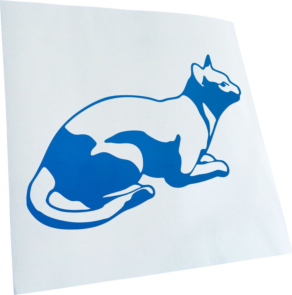 hauptsachebeklebt Kiwistar - Autoaufkleber - Katze liegend Cat Heckscheibe - Aufkleber für Auto Kfz Fahrrad, LKW, Truck Mofa
