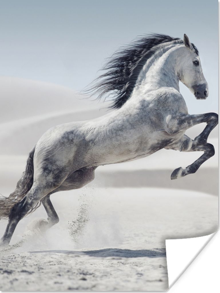 MuchoWow Poster Pferd - Tiere - Sand - Natur 120x160 cm - Wandbilder