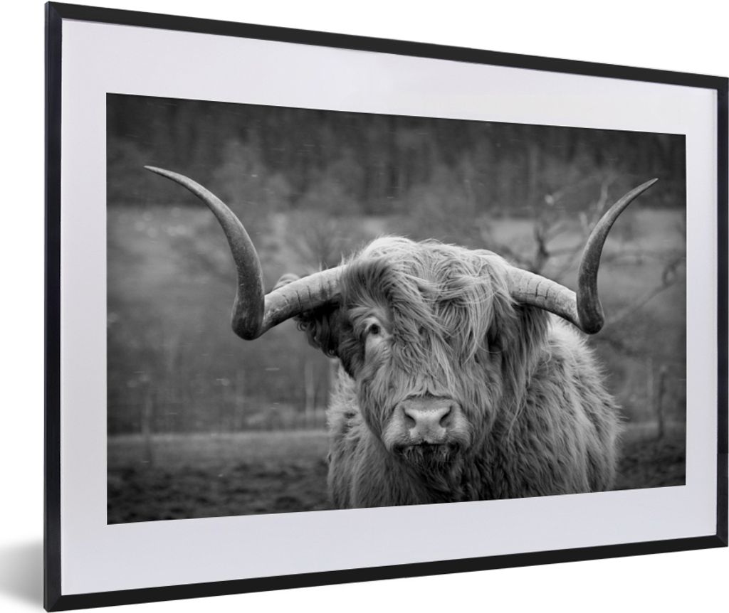MuchoWow Gerahmtes Poster Schottischer Highlander - Kuhkopf - Landschaft - Natur - Kuh 60x40 cm - Poster mit Schwarzem Bilderrahmen Wandposter Ra...