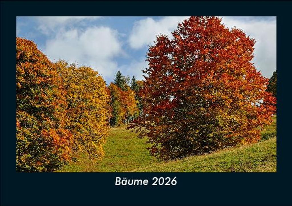 Bäume 2026 Fotokalender - Querformat DIN A5, Monatskalender mit Bild-Motiven aus Orten und Städten, Ländern und Kontinenten