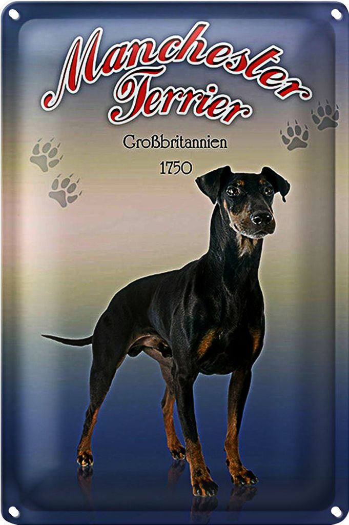 Blechschild Hund 18x12cm Manchester Terrier Großbritanien