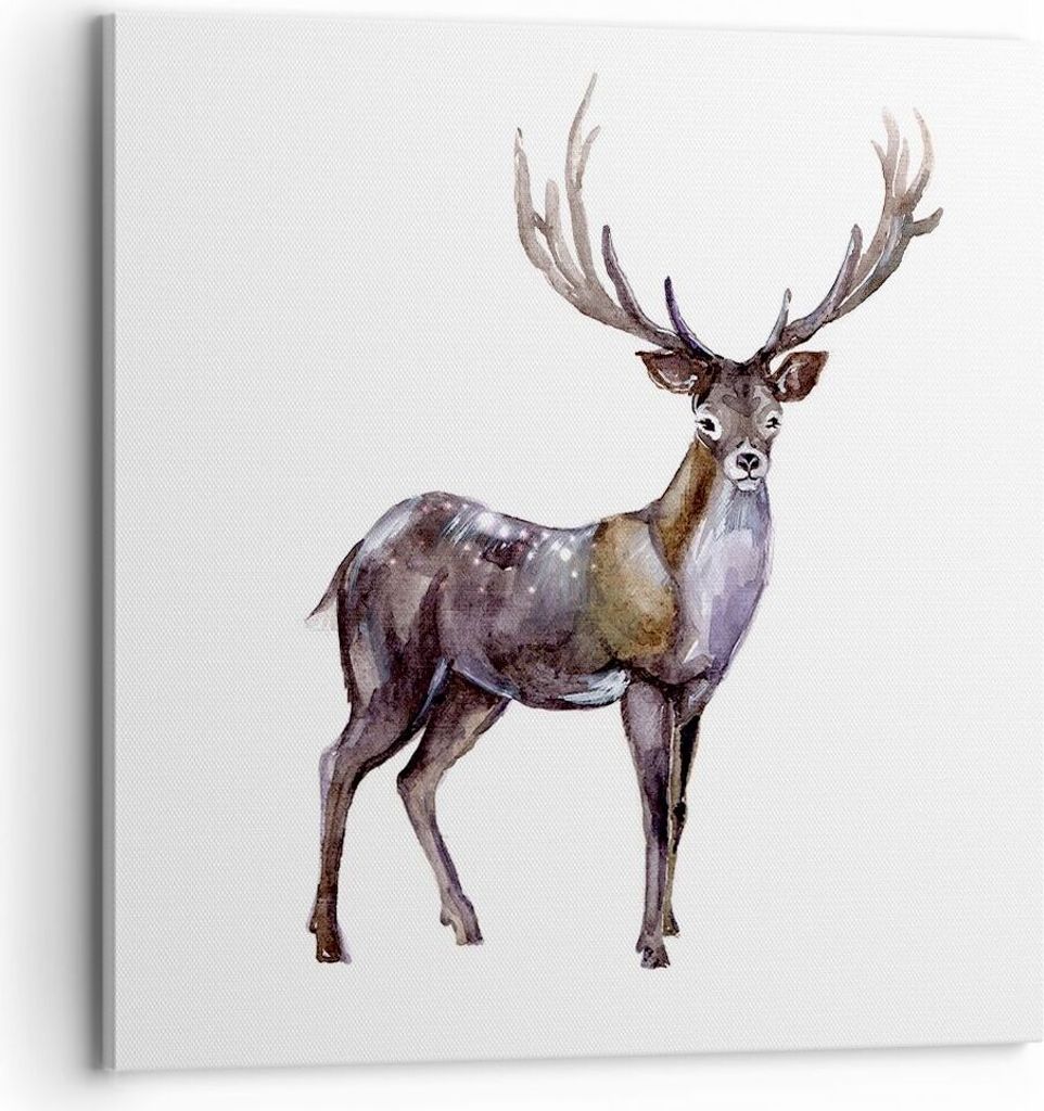 Bild auf Leinwand - Leinwandbild - Liebes Tier Wild Wald - 70x70cm - Wand Bild - Wanddeko - Leinwanddruck - Bilder - Kunstdruck - Wanddekoration - ...