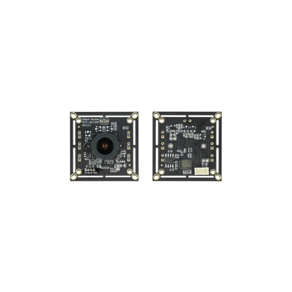 Module Caméra USB 2.0 Global Shutter Monochrome Delock Haute Définition
