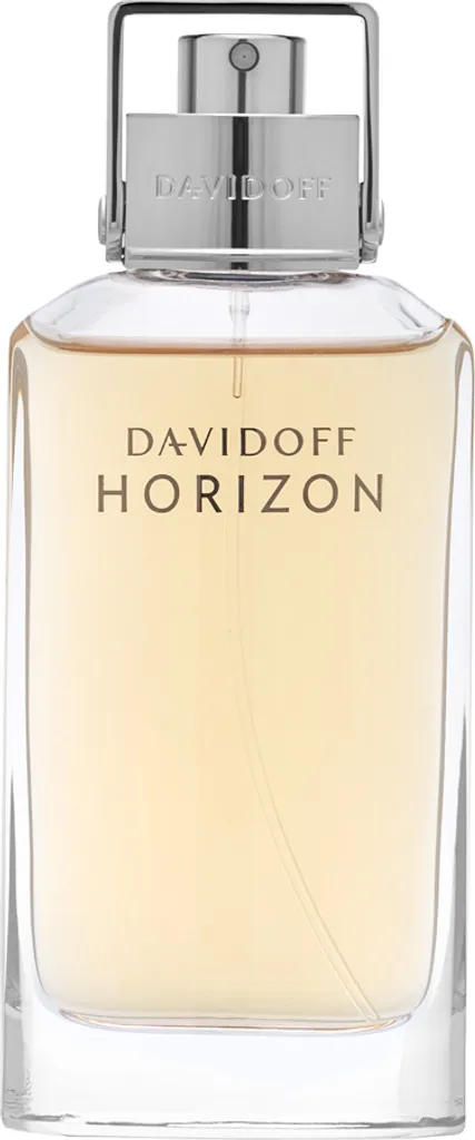 Davidoff Horizon Parfum Idéal pour l'Homme Actif et les Sorties Soirée