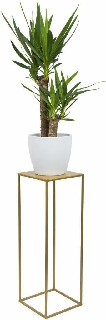Support à Plantes Doré pour Salon et Balcon - Tabouret en Métal de 70 cm