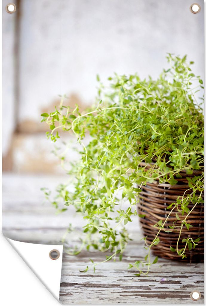 MuchoWow 40x60 cm Outdoor-Poster Gartendeko Sichtschutz Garten Poster für den Garten Weidenkorb mit hellgrünen Thymianpflanzen auf einem rusti...