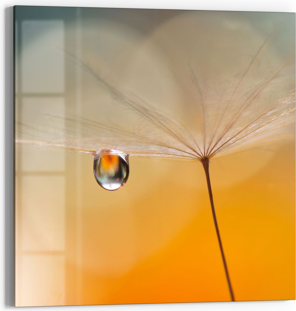 DEQORI Glasbild Echtglas 30x30 cm 'Träne des Morgens' Wandbild Bild modern Deko