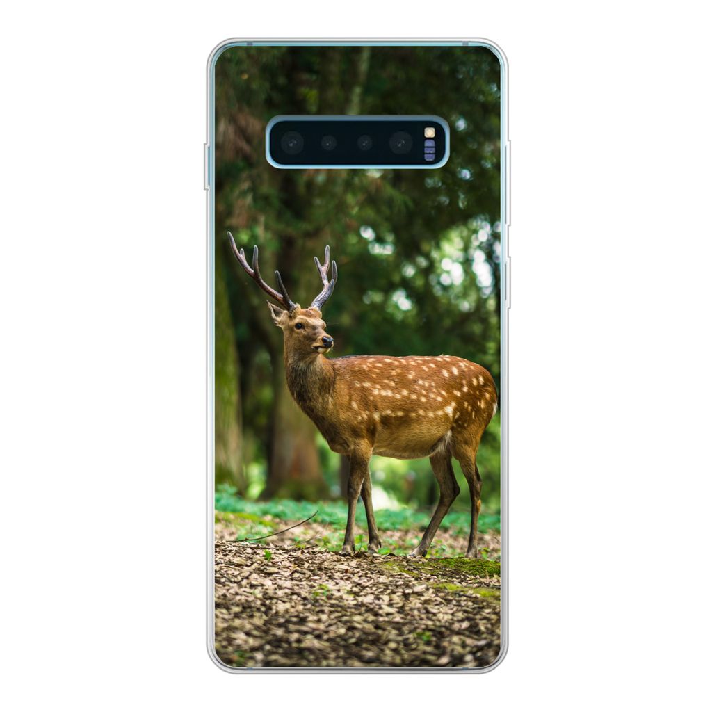 MuchoWow Handyhülle Schutzhülle Hülle für Samsung Galaxy S10 Plus Rotwild - Wald - Tier Silikon Softcase Handy Hülle - Schutzhülle