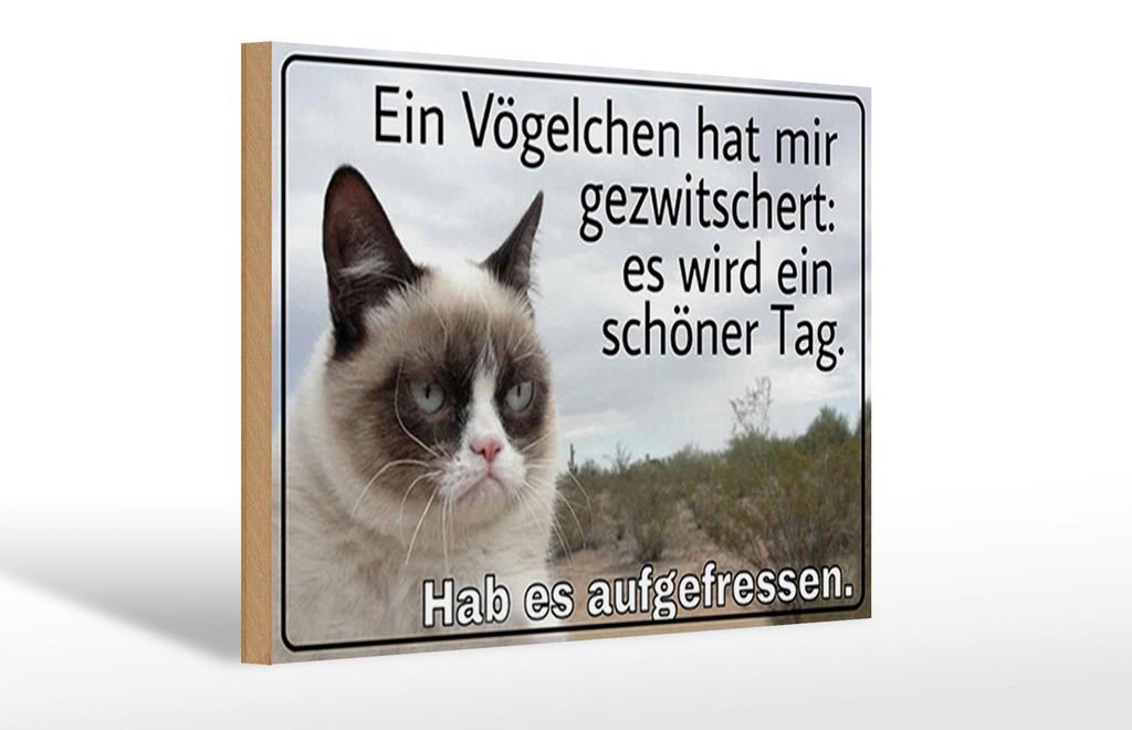 Holzschild Spruch 30x20cm Katze Vögelchen gezwitschert