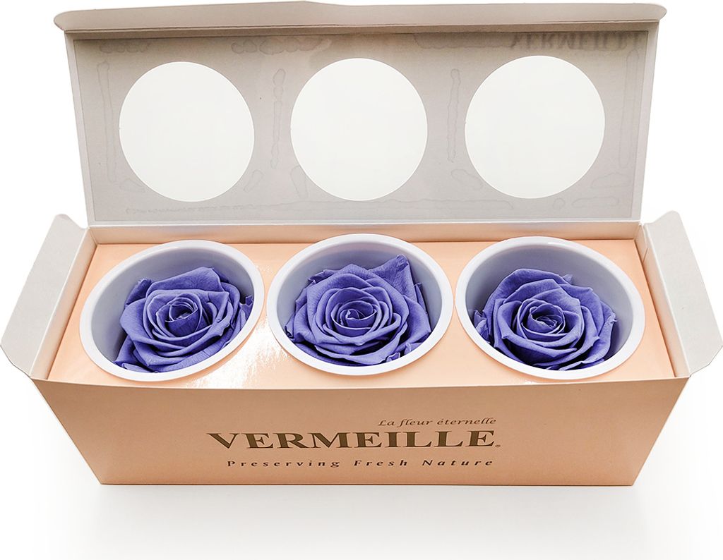 Stabilisierte Rose - Traube - XL - 3 St