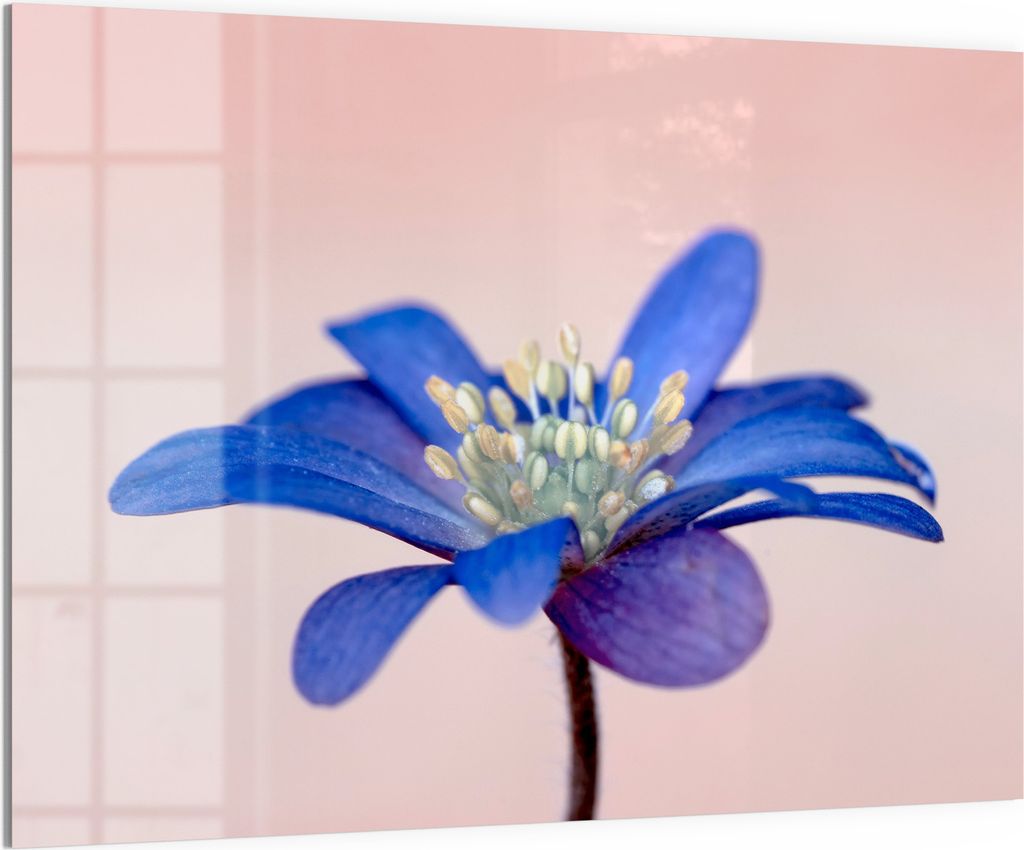 DEQORI Magnettafel Glas 120x90 cm 'Blaue Eleganz' beschreibbar Whiteboard Pinnwand Küche