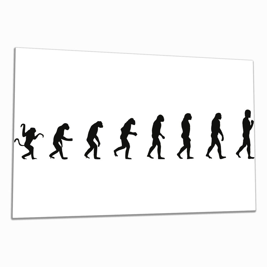 Wallario Herdabdeckplatte aus Glas, Größe 80 x 52 cm 1-teilig, Motiv Evolution - Die Entwicklung des Menschen