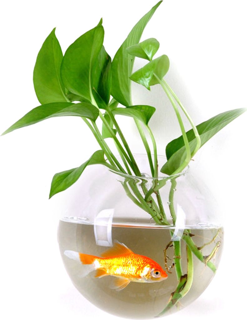 Hydroponische Vase, Blumenvase, Wassertropfen, Herzform, transparent, zum Aufhängen an der Wand, Glas, Blumenvase, Terrarium, Wand, Aquarium, Aqua...