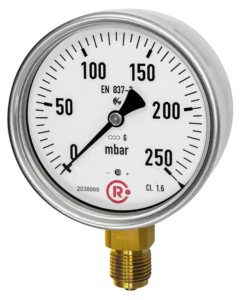 Riegler Kapselfedermanometer, G 1/2 radial unten, 0 - 250 mbar, Ø 100, Art.Nr. 6816-R