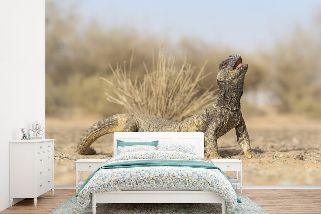 MuchoWow Fototapete für Wohnzimmer oder Schlafzimmer Wandtapete Vinyl Motivtapete Eine starke und kräftige Eidechse - 360x240 cm - Vinyl-Tapete