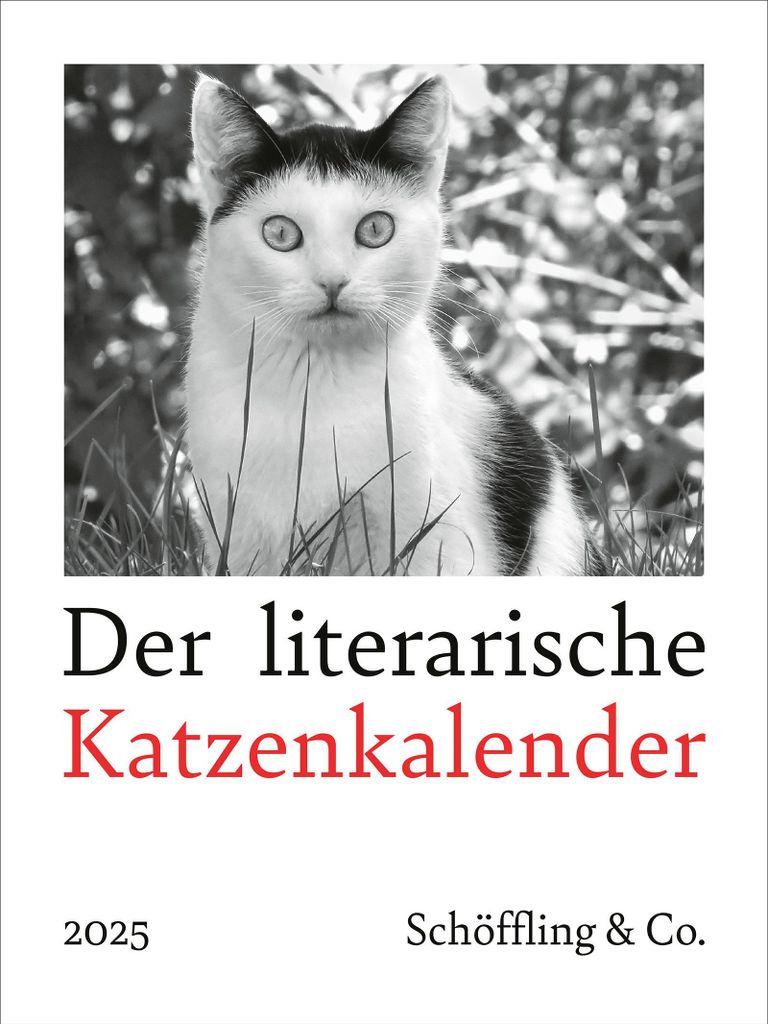 Der literarische Katzenkalender 2025 Produktbild 1