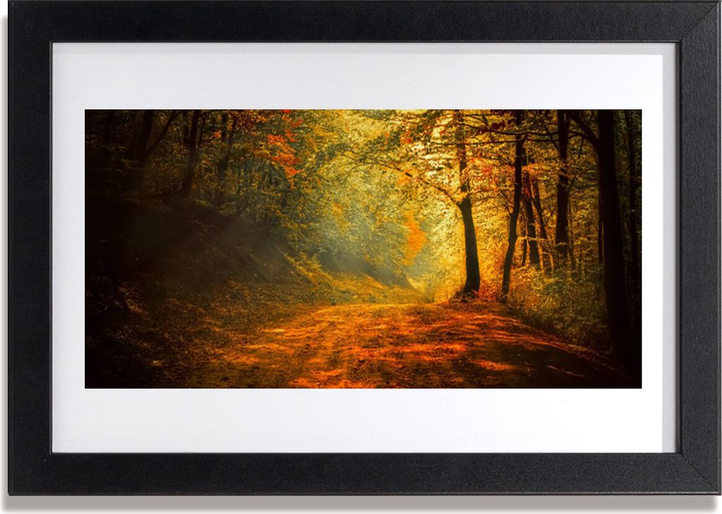 Bild 30x20 MDF-Rahmen Wandkunst Forest Lane Bäume Natur