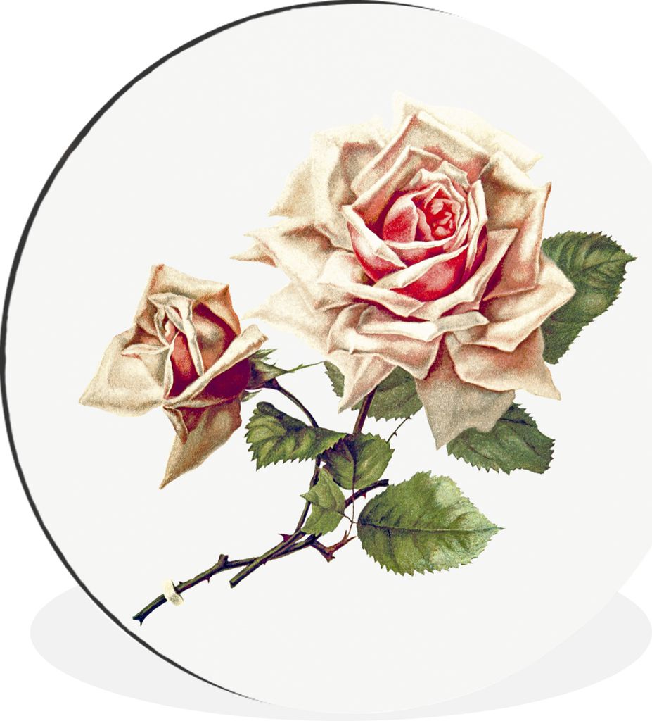 MuchoWow - Mauerkreis - Wandbilder - Runde Bild - Bild aus Aluminium - Schlafzimmer - Wohnzimmerdekoration - Wand Dekoration