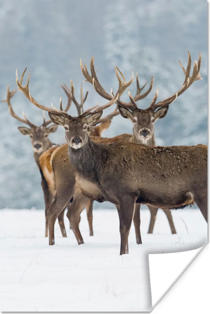 MuchoWow Poster Hirsche - Tiere - Schnee - Winter - Landschaft - Natur 40x60 cm - Plakate für die Wand - Poster Babyzimmer