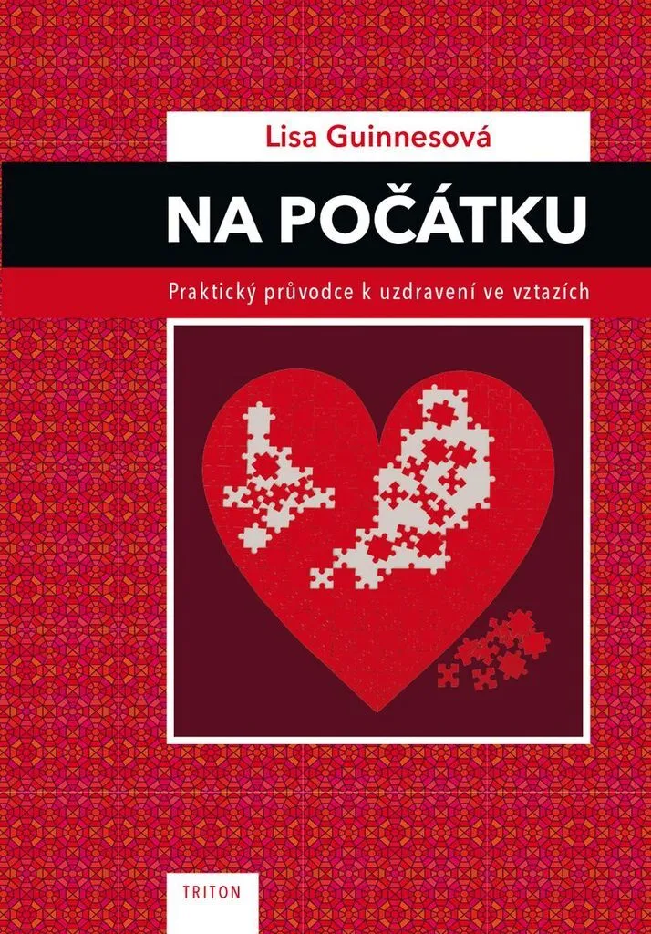 Livre de psychologie relationnelle pour guérir les blessures du passé 240p