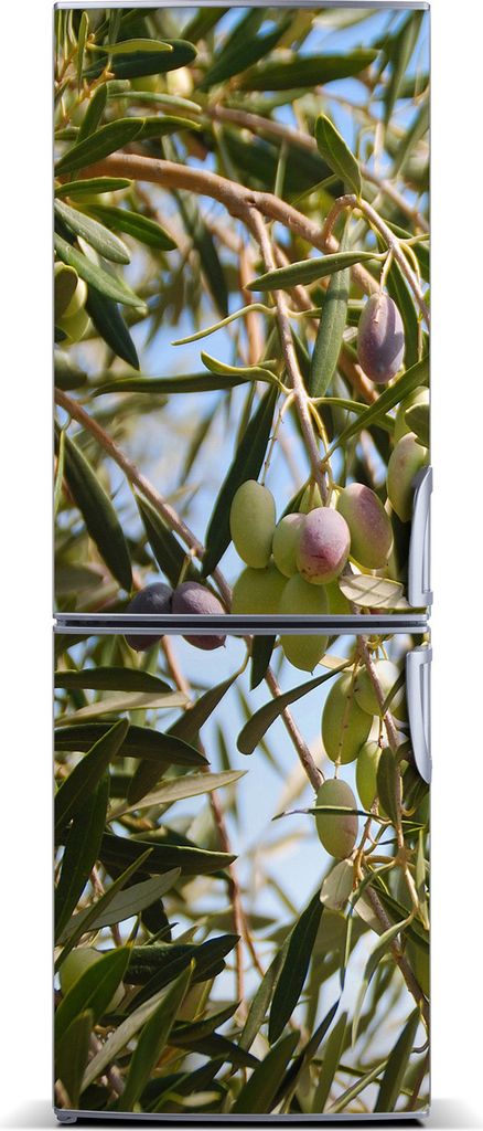 Tulup Kühlschrankdekoration - Magnetmatte - 60 cm x 180 cm - Magnet auf dem Kühlschrank - Oliven Am Baum