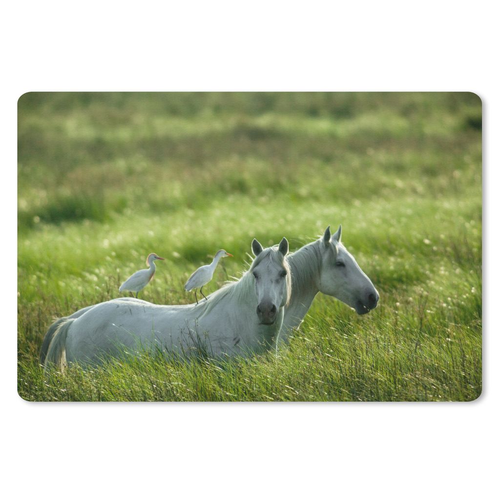 MuchoWow Mauspad Mousepad Pferde - Vogel - Gras 27x18 cm - Mousepads - Maus Mat - Pad - Mausunterlage - Büroartikel - Desk Matten