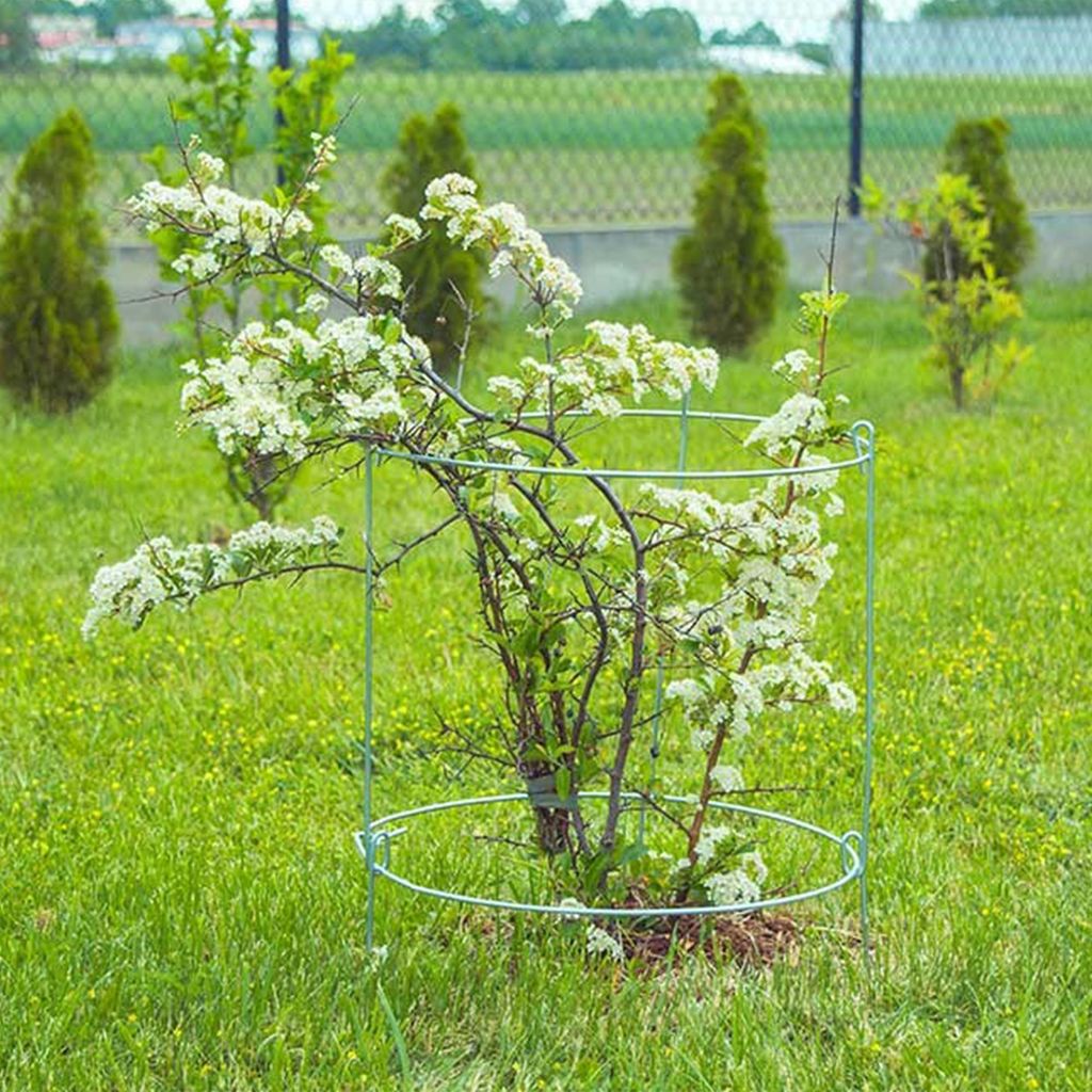 KADAX Blumen- und Pflanzensttze, 90 cm, Gartenring,