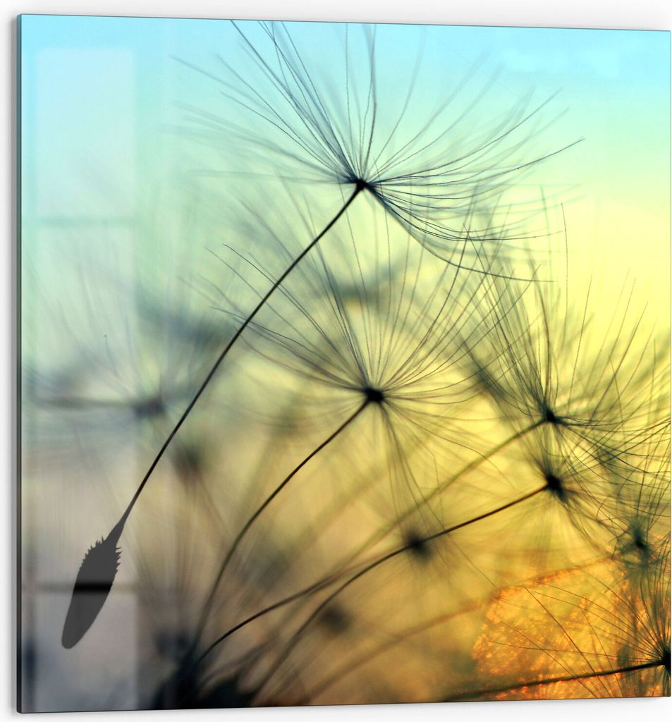 DEQORI Küchenrückwand Glas 60x60 cm 'Schirmchen in Abendsonne' Spritzschutz Bad Rückwand