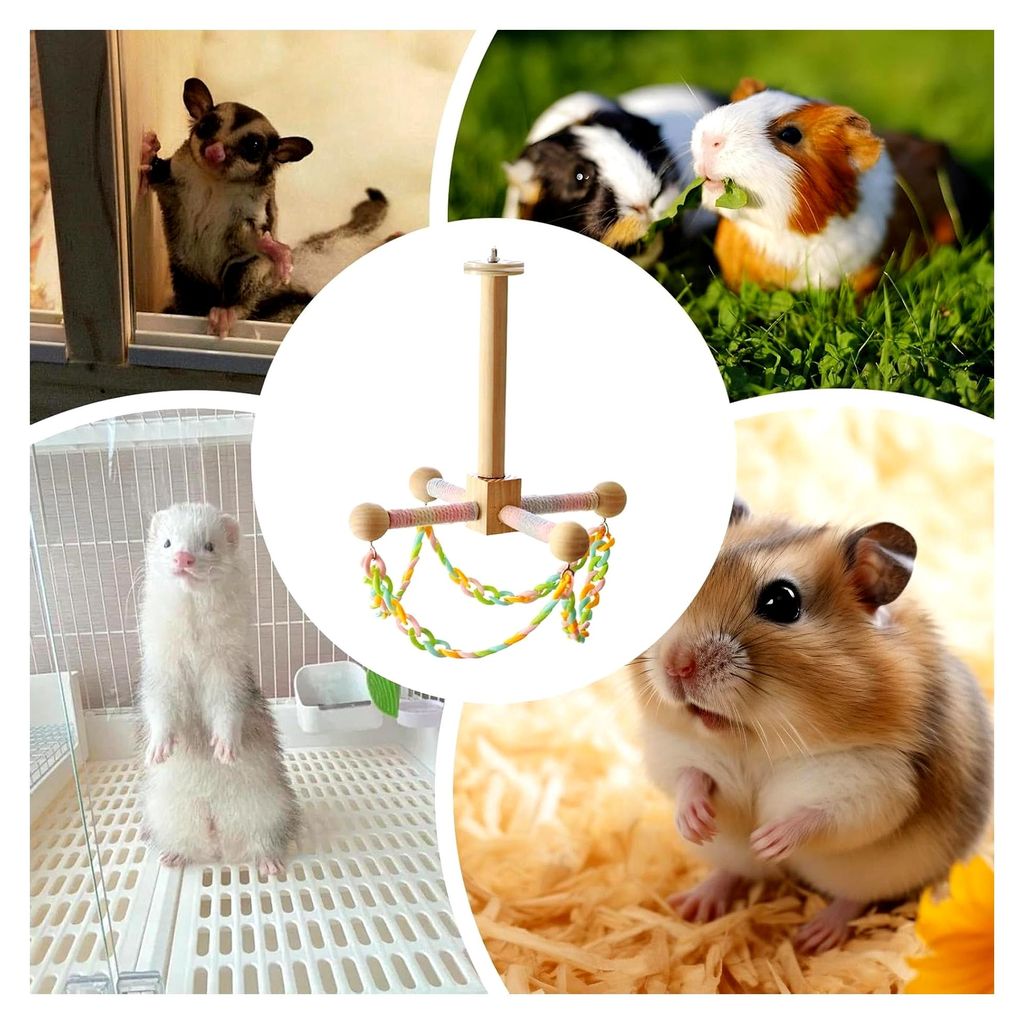 Wellensittichschaukel | Interaktives Holzspielzeug für Kleintiere | Bewegungsspielzeug für Nymphensittiche, Hamster, Gerbils, Frettchen, Igel, Me...