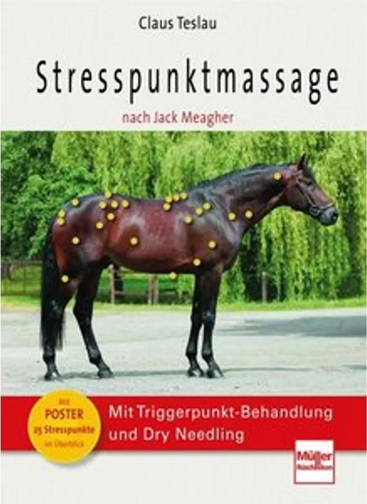 Massage des points de stress selon Jack Meagher technique de pressions