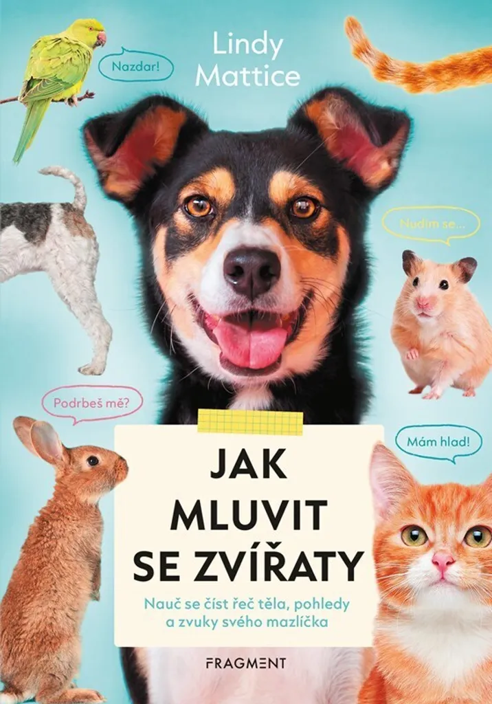 Comprendre son chien ou chat : méthode pour lire les signes de votre ami