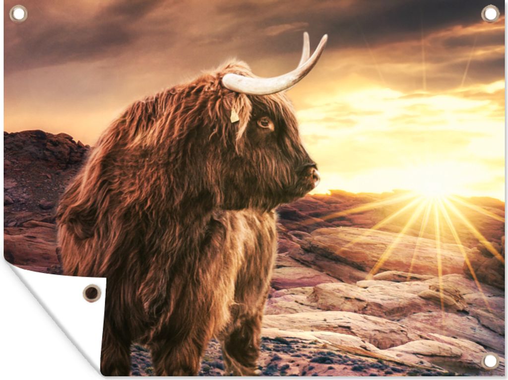 MuchoWow 120x90 cm Outdoor-Poster Gartendeko Sichtschutz Garten Poster für den Garten Schottischer Highlander - Kuh - Horizont