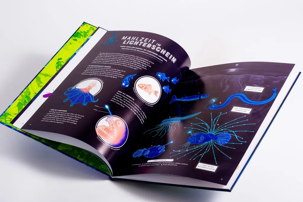 Glow : Le Livre Illustré sur le Phénomène de la Bioluminescence Naturelle - 6