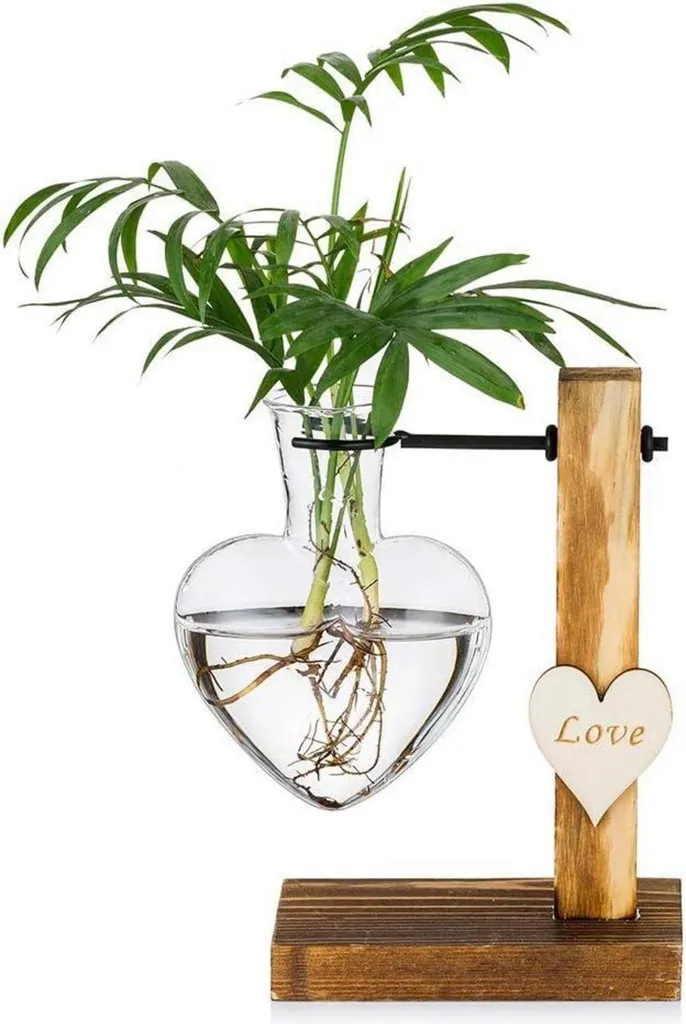 Vase en Verre pour Culture Hydroponique Deco Bureau Support Bois