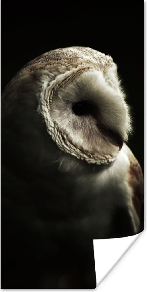 MuchoWow Poster Eule - Vogel - Porträt 75x150 cm - Dekoration für die Wände