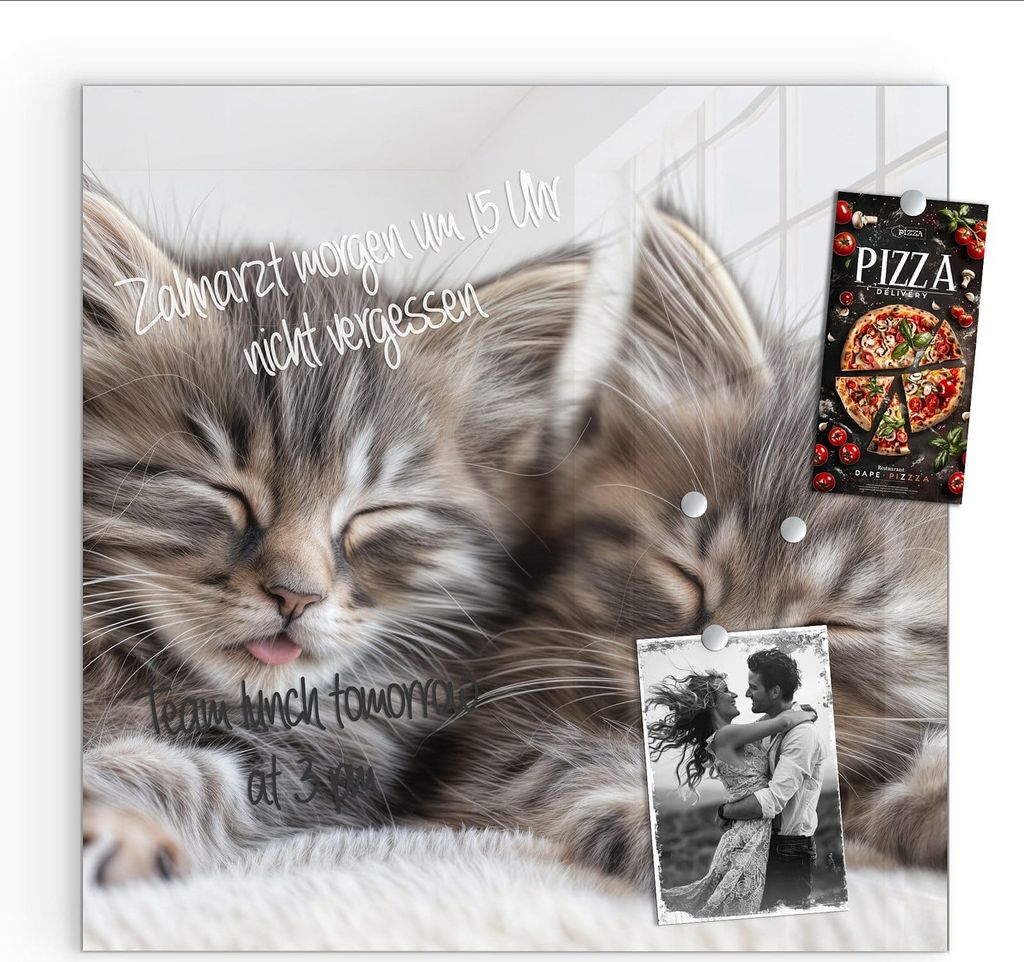 Magnettafel 50x50cm Pinnwand Whiteboard beschreibbar - Schlafende Kätzchen