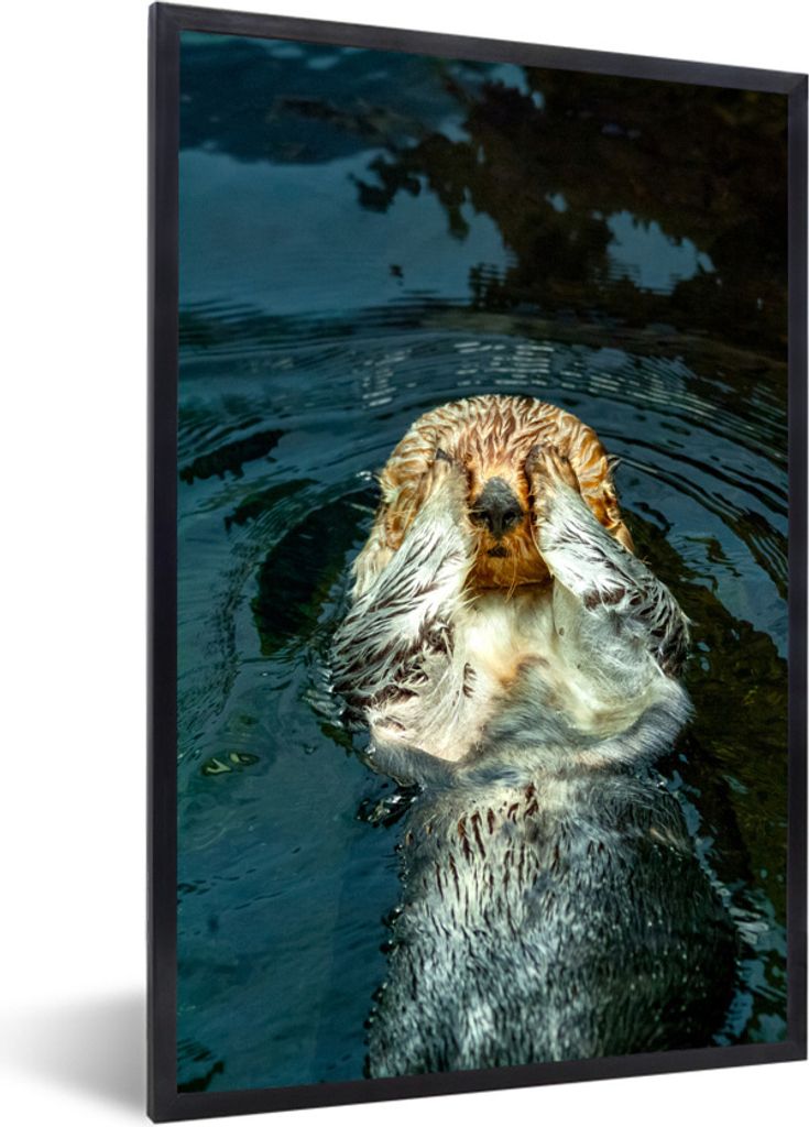 MuchoWow Gerahmtes Poster Otter im Wasser liegend 40x60 cm - Poster mit Schwarzem Bilderrahmen Wandposter Rahmen Foto Bilder - Papierdruck - Wand...