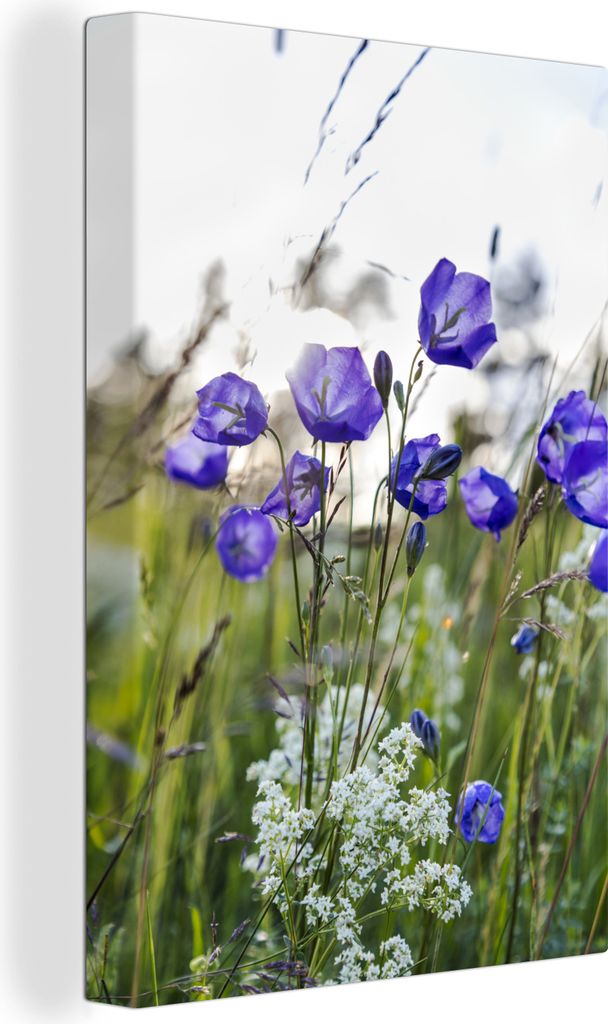 OneMillionCanvasses - Leinwandbilder - 90x140 cm, Campanulas in einem Feld mit Wildblumen, Wandbilder Kunstdruck Wanddekoration - Wandschmucke - ...