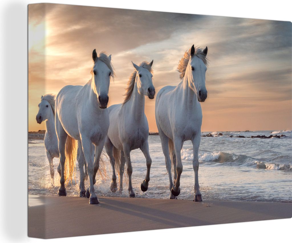 OneMillionCanvasses - Leinwandbilder - 150x100 cm, Pferde - Sonne - Strand - Meer, Wandbilder Kunstdruck Wanddekoration