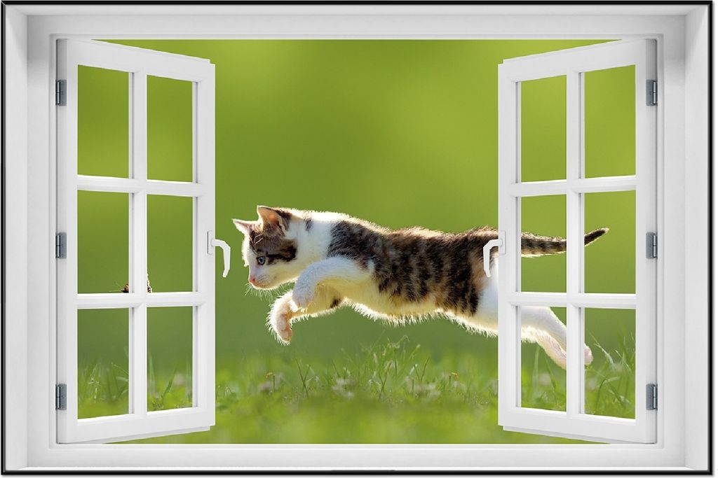 Wallario Wandbild mit Fenster-Illusion: Süße Katze fängt Schmetterling im Grünen, Größe: 61 x 91,5 cm, Poster mit schwarzem Aluminiumrahmen