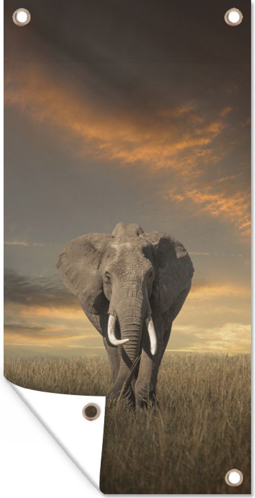 MuchoWow 30x60 cm Outdoor-Poster Gartendeko Sichtschutz Garten Poster für den Garten Weidender Elefant
