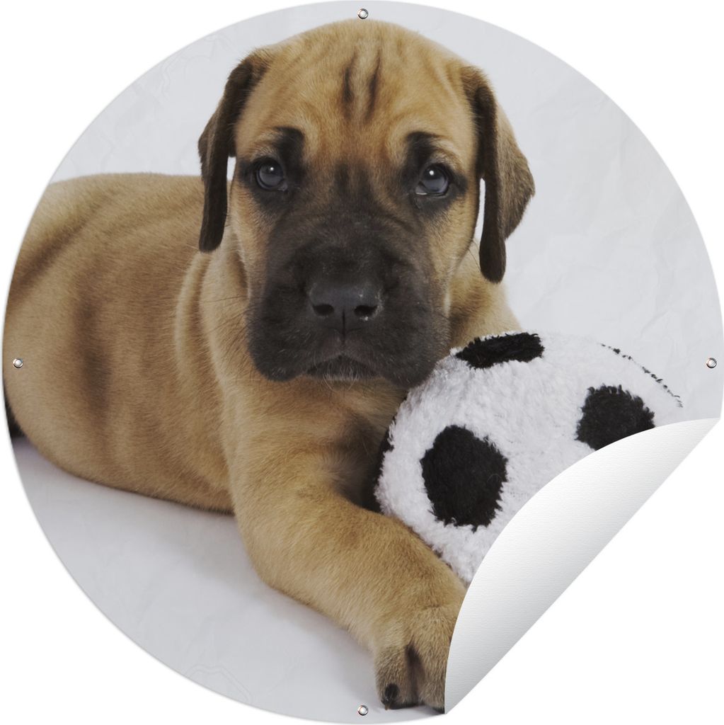 MuchoWow Gartenposter Outdoor-Poster Rund Ein brauner Welpe mit einem Fußball Ø 90 cm Gartendeko Rundes Poster draußen